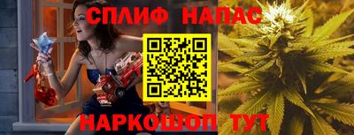 mdpv Краснознаменск