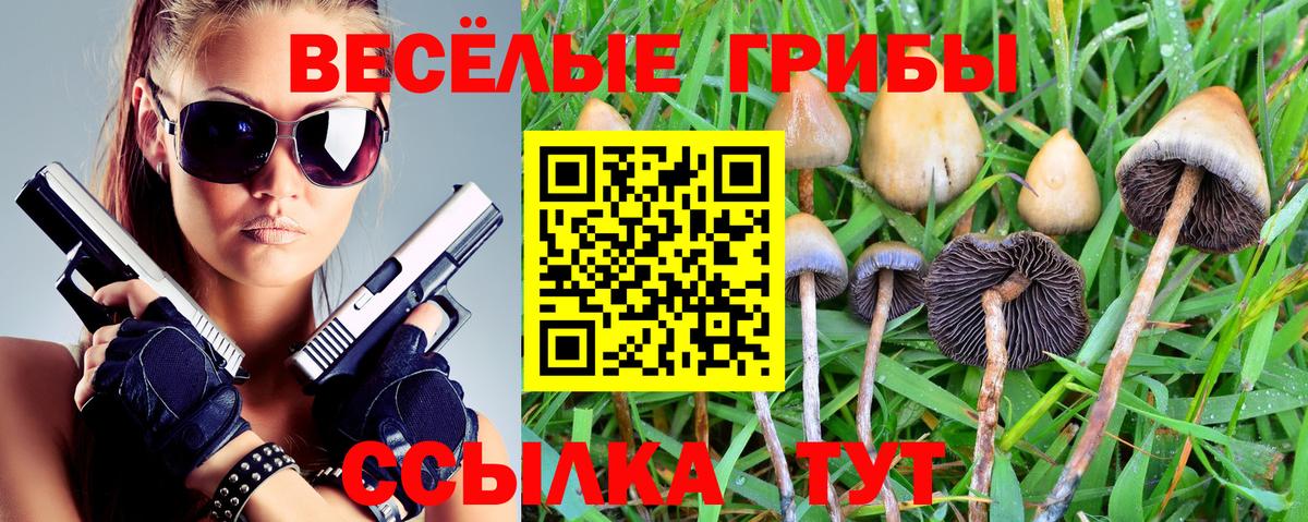 Псилоцибиновые грибы мухоморы Камень-на-Оби