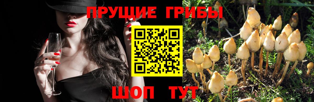 Галлюциногенные грибы прущие грибы  Вход с VPN  закладки  Камень-на-Оби 